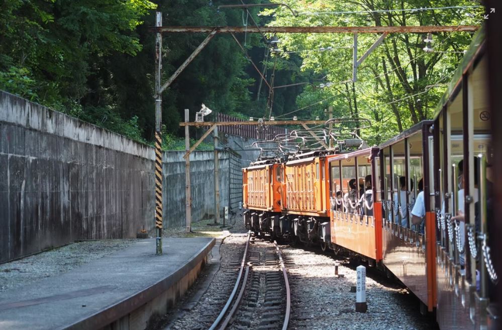 Door2Door transfer within the city. Kurobe City ( Cherry Tomato )
