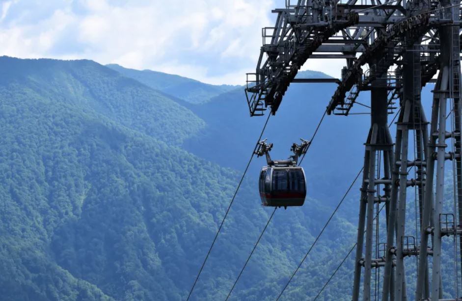 Cherry Tomato. 4 Hours Charter Transfer Within The City. Minakami Town (with Invisible Tour Guide Service On Demand)