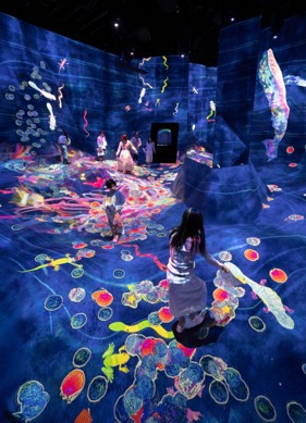 teamlab Planets Admission Ticket with 1Way Door to Door Shared Transfer + Welcome Suica Card (2up)