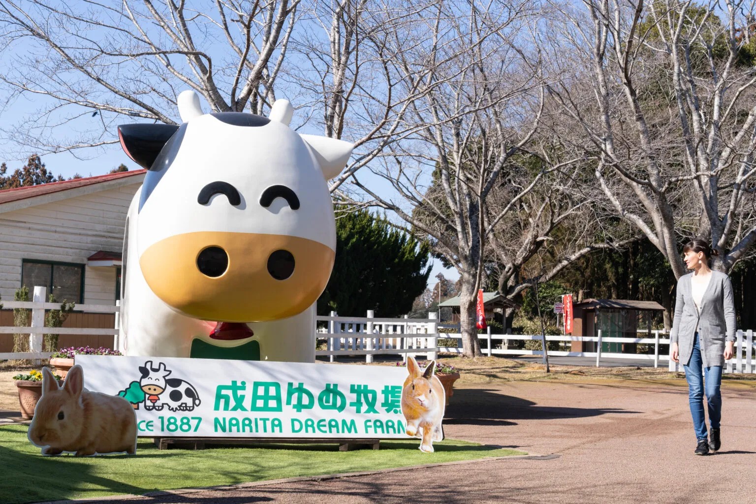 Narita Transit/Layover : Narita Dream Ranch "ALInoBABY" (604234.0933)