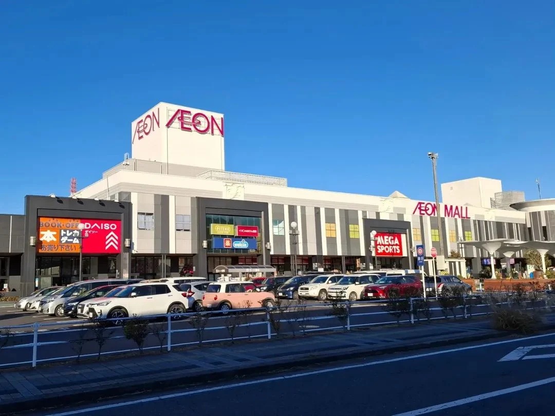 Narita Transit/Layover : Super Market Visit "ALInoBABY" (604234.0938)