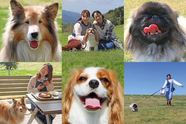 2D1N trip to Chiba Mother Farm by local trains (and/or public buses) from Tokyo (Self-guided Tour)